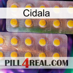 Cidala new10